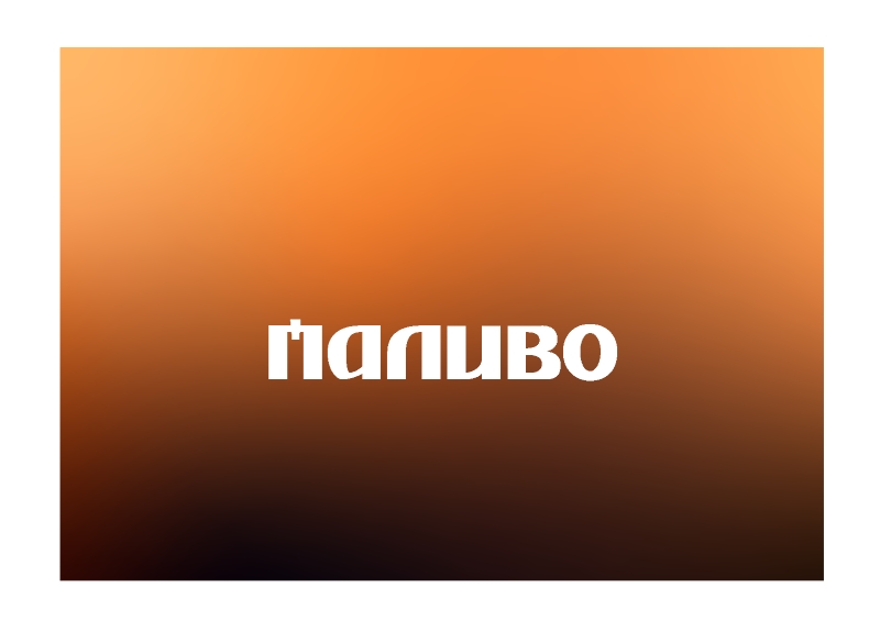 Газ нафтовий скраплений , АЗС ПАЛИВО , Талон